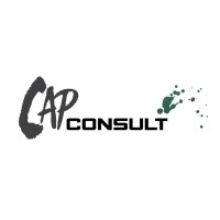 Cap Consult logo - Similar company to Zeebraham Utd