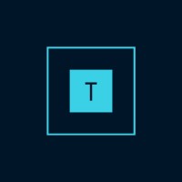 Turquoise Consulting logo - Similar company to Catalyst4