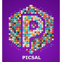 Picsal media logo - Similar company to Plugnpoint Uae