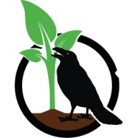 Microw Greens
