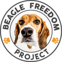 Beagle Freedom Project logo - Similar company to Thecryptograph