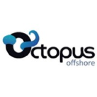 OCTOPUS SERVICOS E COMERCIO LTDA logo - Similar company to Swift Projects & Consulting