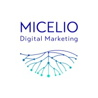 Micelio Digital Marketing logo - Similar company to Micelio Group