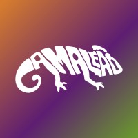 Camaleão logo - Similar company to Locnow
