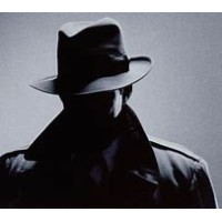 The Stealth Group 3 logo - Similar company to Irish Network Dc