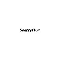 SnazzyPlum logo - Similar company to District Technologies