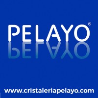 Pelayo logo - Similar company to Icaib