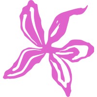 COCONUTSCANKILL logo - Similar company to Thedreamlab