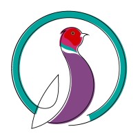 Tirang Studio logo - Similar company to Doukhtbartar | دوخت برتر