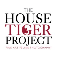 The House Tiger Project logo - Similar company to B2B Rentals