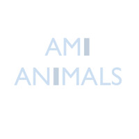 Ami Animals logo - Similar company to Akuval