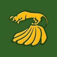 Jaguaré Bananas logo - Similar company to Gvm It Solutions