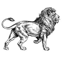 Strategical logo - Similar company to Syncrosis