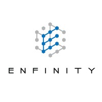 Enfinity Solutions Limited logo - Similar company to Efinity Solutions Inc