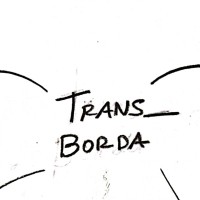 Trans_borda Social Impact logo - Similar company to Goodbros Empatia E Comunicação Inclusiva