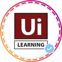 UI Learning Institute logo - Similar company to Beegenius