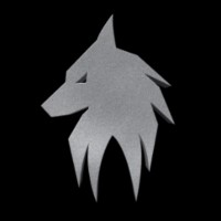 Alpha Nutrition logo - Similar company to Align Motion Physiotherapy