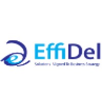 Effidel Solution