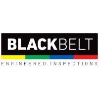 BLACK BELT INSPECTIONS logo - Similar company to Liaf Control Srl