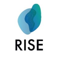RISE study logo - Similar company to Body Brain Dynamics
