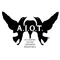 Accademia Italiana Osteopatia Tradizionale logo - Similar company to Artistico