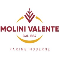 Molini Valente S.p.A. logo - Similar company to D'Ambros Ipermercato S.P.A.