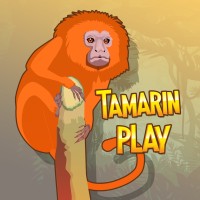Tamarin Play