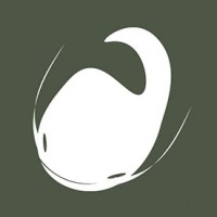 Studio Catfish logo - Similar company to Catfish