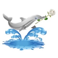 Aphrodite Services logo - Similar company to Spic-N-Span Png