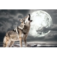 WOLF Holding GmbH logo - Similar company to Wcv It.Service