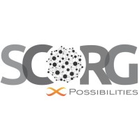 SCORG International Consulting Pvt. Ltd. logo - Similar company to Scorg Technologies Pvt Ltd