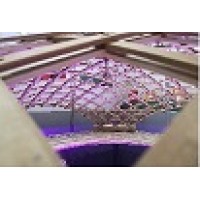 Team BE-Napier logo - Similar company to Wisebrick