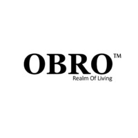 OBRO INTERNATIONAL PTE LTD logo - Similar company to Icrown Tech Limited