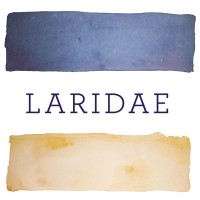 Laridae