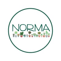 Norma Monte-Carlo logo - Similar company to 3Dcomm-Montecarlo
