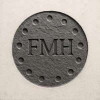 FMH Inteligência em Negócios logo - Similar company to Technoguide