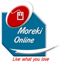 Moreki Online logo - Similar company to Moreki Industrial Development