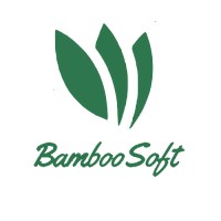 BambooSoft IRI logo - Similar company to Kanda Idea