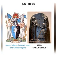 Iraqi Liaison Group - RCOG logo - Similar company to Razan Center For Infertility