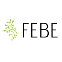 FEBE  3D