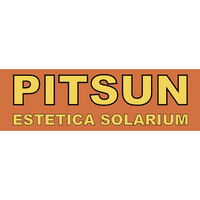 PITSUN logo - Similar company to Team Pro Pars