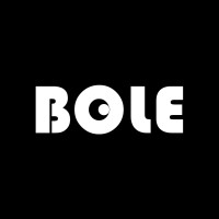 BoLe Network logo - Similar company to Bole