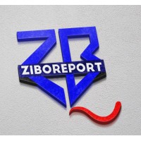 ZiboReport logo - Similar company to Odbs Technology