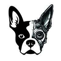 Boston AI logo - Similar company to Arvra Wellness