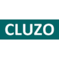 Cluzo logo - Similar company to Saleconix