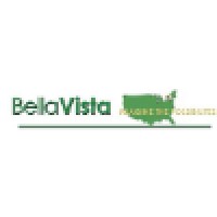 Bella Vista Group