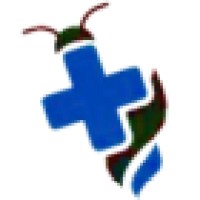 Basmi.co.id