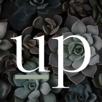 Up Level Coaching & Consulting logo - Similar company to Bond To Bloom