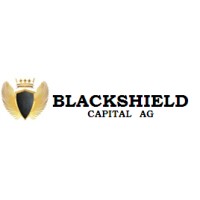 Blackshield Capital AG logo - Similar company to Blackshield Capital
