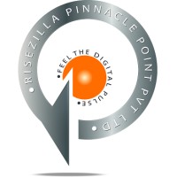 Risezilla Pinnacle Point PVT LTD logo - Similar company to Suprey